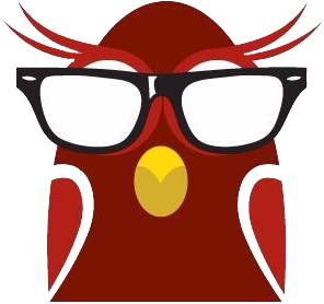 geekwise owl logo